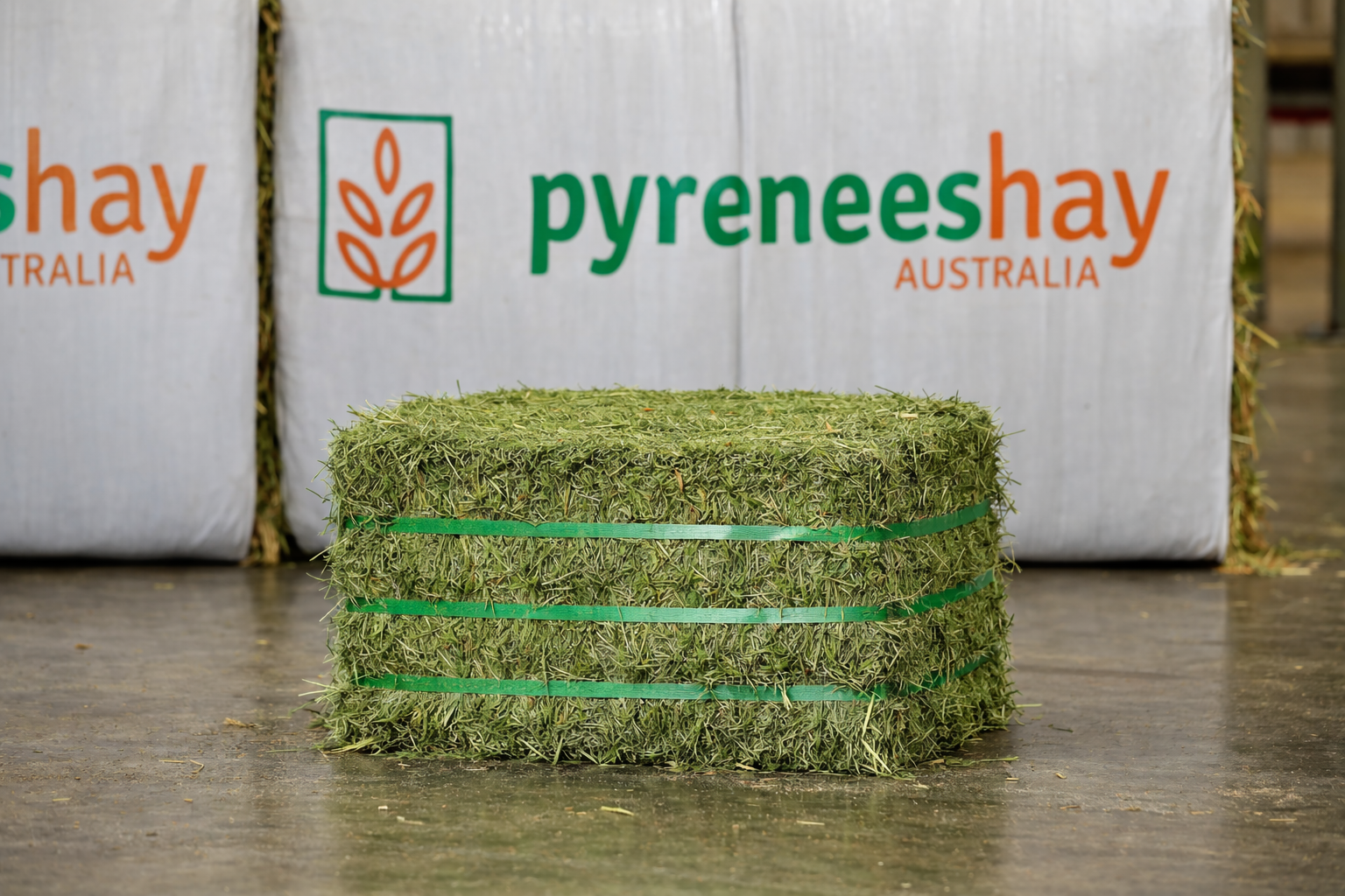 Export Oaten Hay