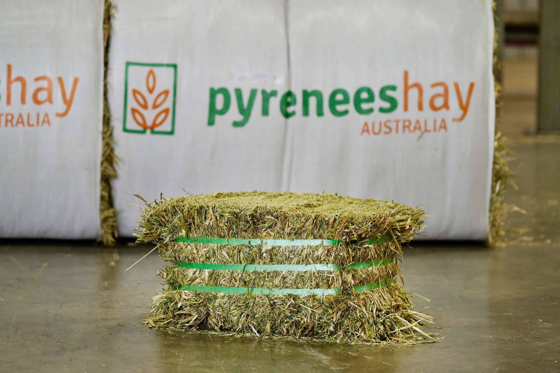 Super Premium Grade Oaten Hay