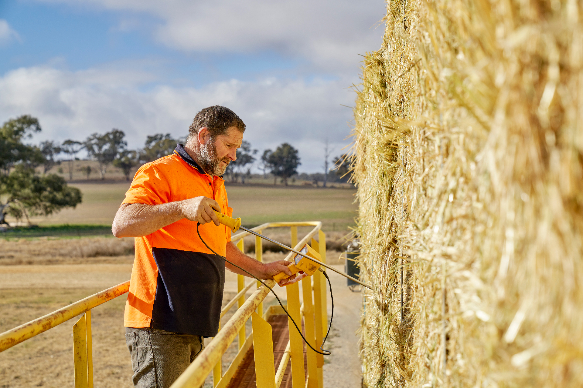 On-farm hay quality testing