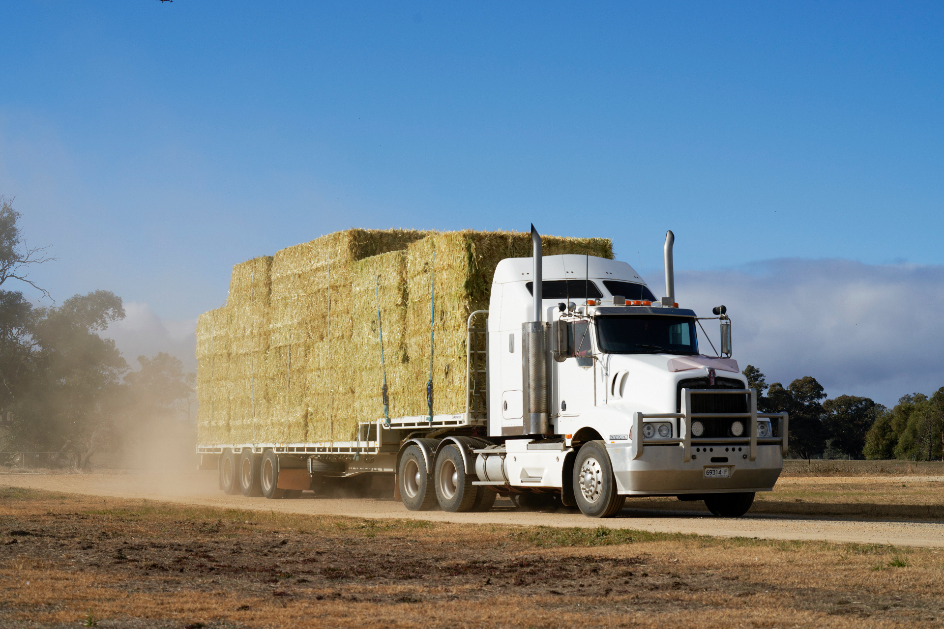 Transport in preparation for export orders