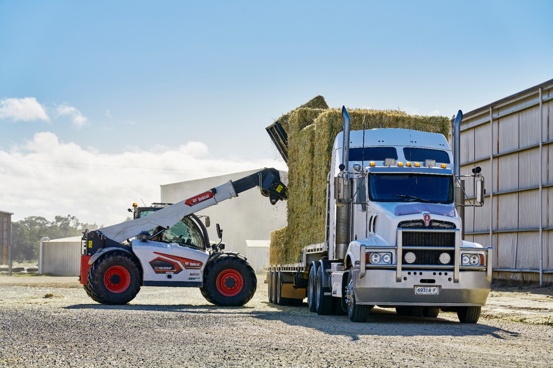 Premium Australian hay being loaded onto a truck for export